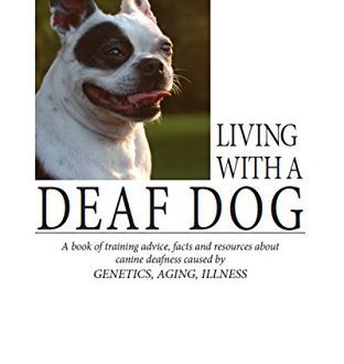 Living with a deaf pet