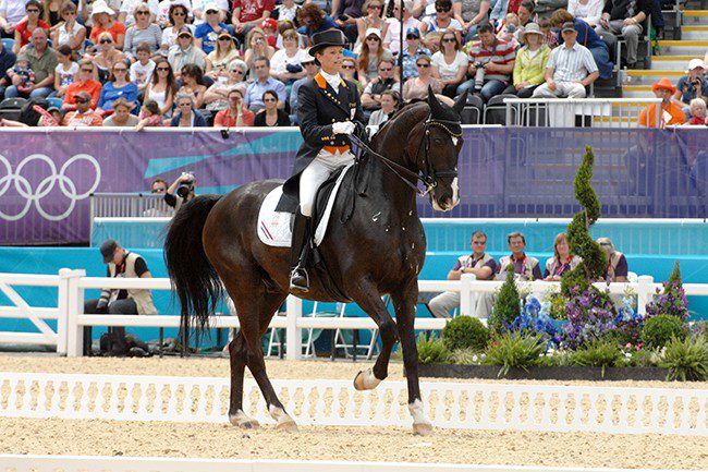 Maintaining the fitness of older sport horses