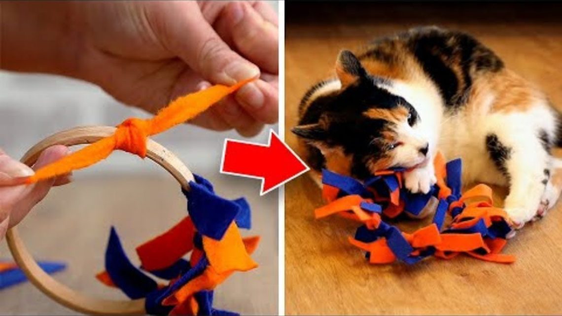 Make your own cat toys!
