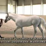 Manolo Mendez: thoughts on work in the hands