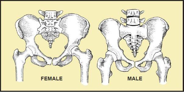 Men and women: who is better suited for riding?