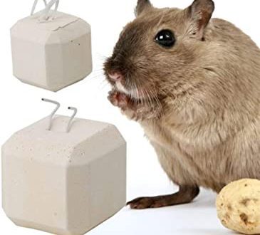 Mineral stone for chinchillas: purpose and choice