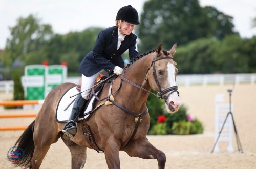 Money and Equestrianism: The Personal Experience of an American Amateur Horsewoman