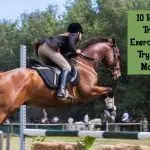 Moving towards trust through games with a horse