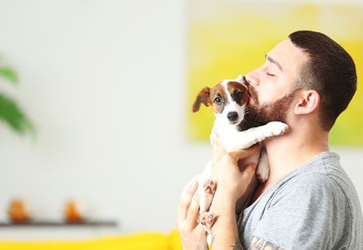 My dog ​​is afraid of men: what to do