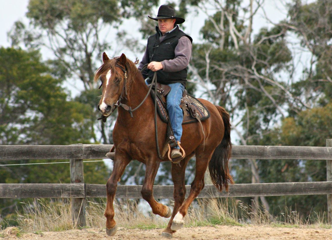 Not given a front trot? Maybe it&#8217;s the saddle