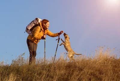 On a hike with your dog!