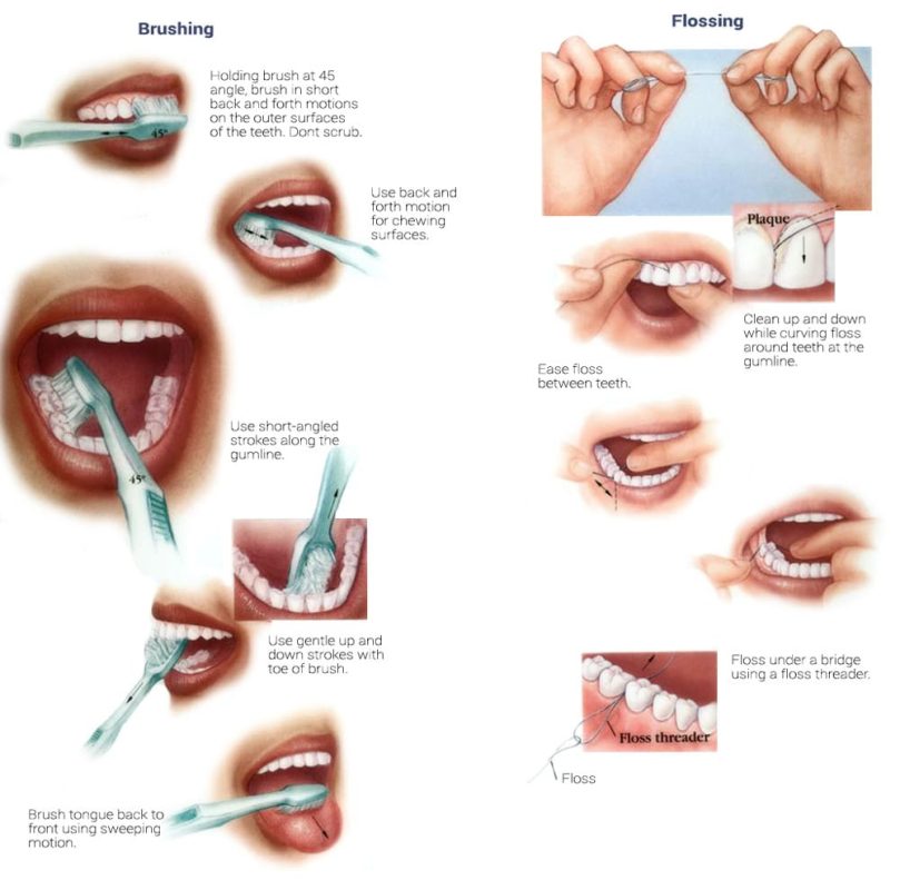 Oral Care Caring for Dental Health