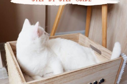 Original do-it-yourself cat beds