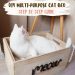 Myths about cats: finding out the truth