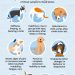 How Dog Allergies Work and What You Can Do to Help Your Pet Feel Better