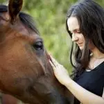 Our Relationship with Horses – The Meaning of Attachment Theory