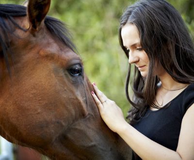 Our Relationship with Horses &#8211; The Meaning of Attachment Theory