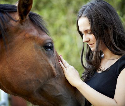 Our Relationship with Horses &#8211; The Meaning of Attachment Theory