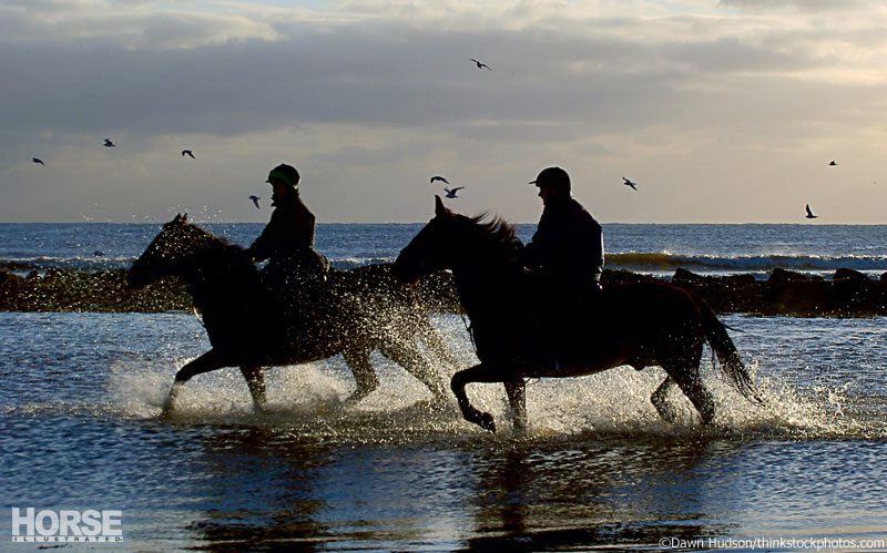 Pat Parelli: teaching a horse to enter the water