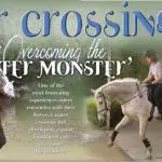 Pat Parelli: teaching a horse to enter the water