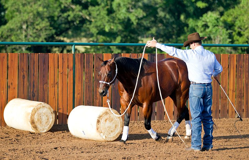 Point of View: Horse Jumping with Clinton Anderson