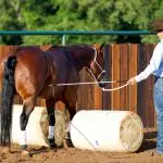 Point of View: Horse Jumping with Clinton Anderson