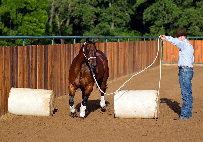 Point of View: Horse Jumping with Clinton Anderson