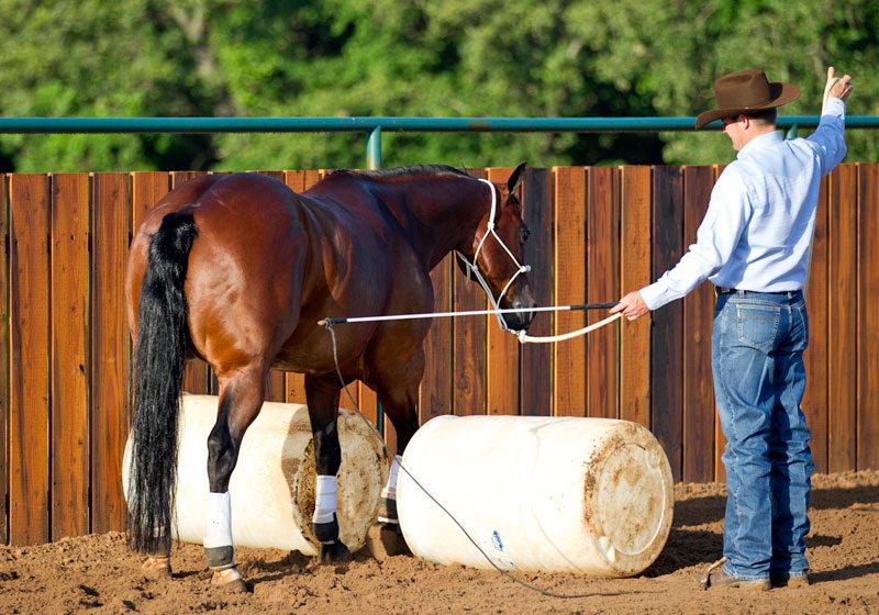 Point of View: Horse Jumping with Clinton Anderson