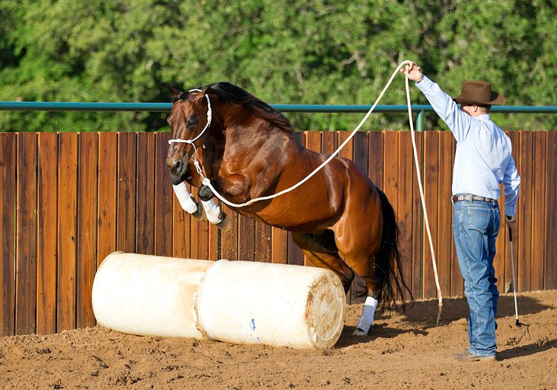 Point of View: Horse Jumping with Clinton Anderson