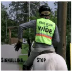 Point of view: what are the signals for the horse and what are the controls?