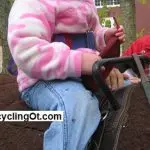 ​Preparing a horse for work in hippotherapy and LVE