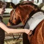 Preparing a young horse for riding. Another Approach