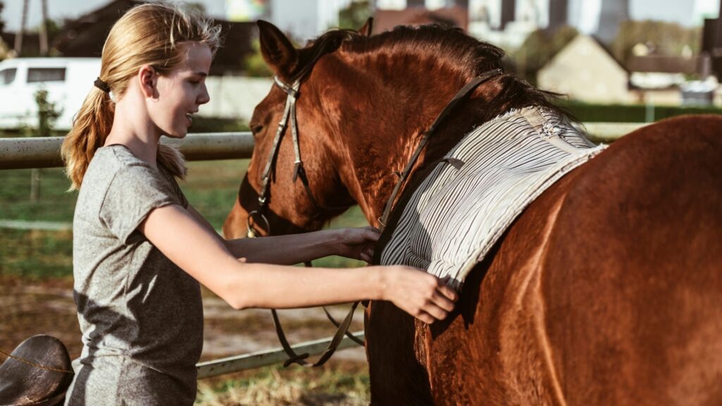 Preparing a young horse for riding. Another Approach