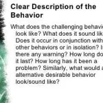 Problem behavior: is everything clear?