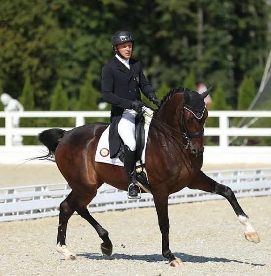 #ProkoniBestExercises: top dressage exercises from Alexander Markov