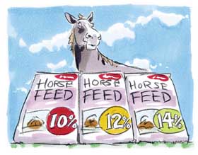 Protein in the horse&#8217;s diet