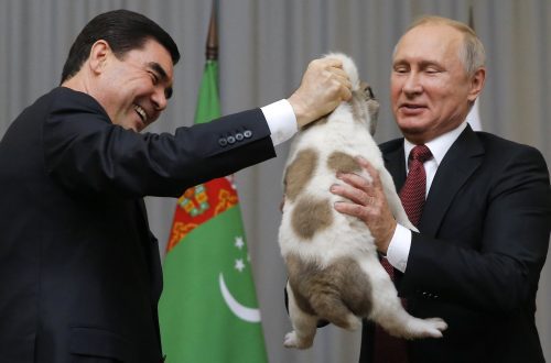 Putin&#8217;s favorite dog: what is her name and home zoo of the President of Russia
