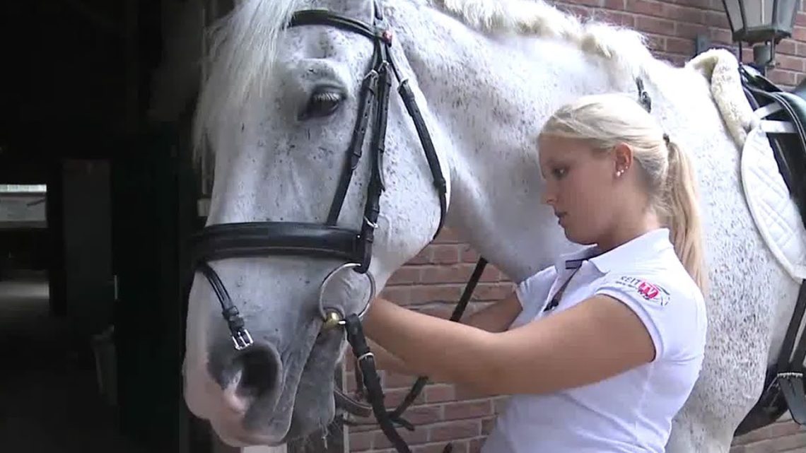 Putting on the bridle