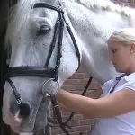Putting on the bridle