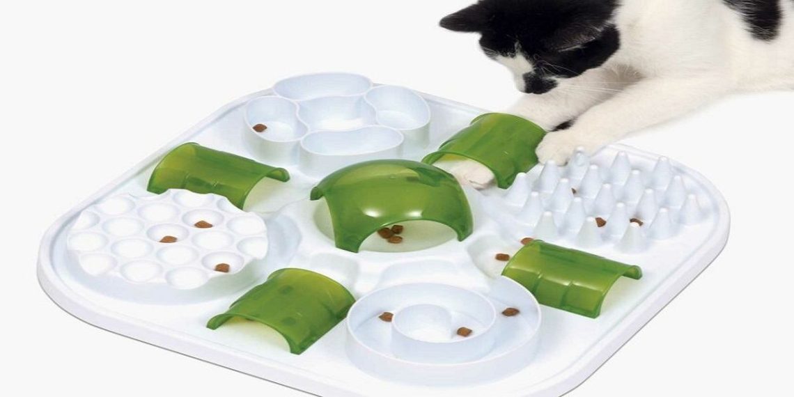 Puzzle feeders for cats: why are they needed