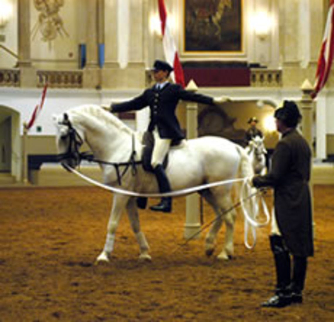 Report: lessons from the senior rider of the Spanish Riding School