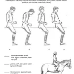 Rider hand position: correct and incorrect