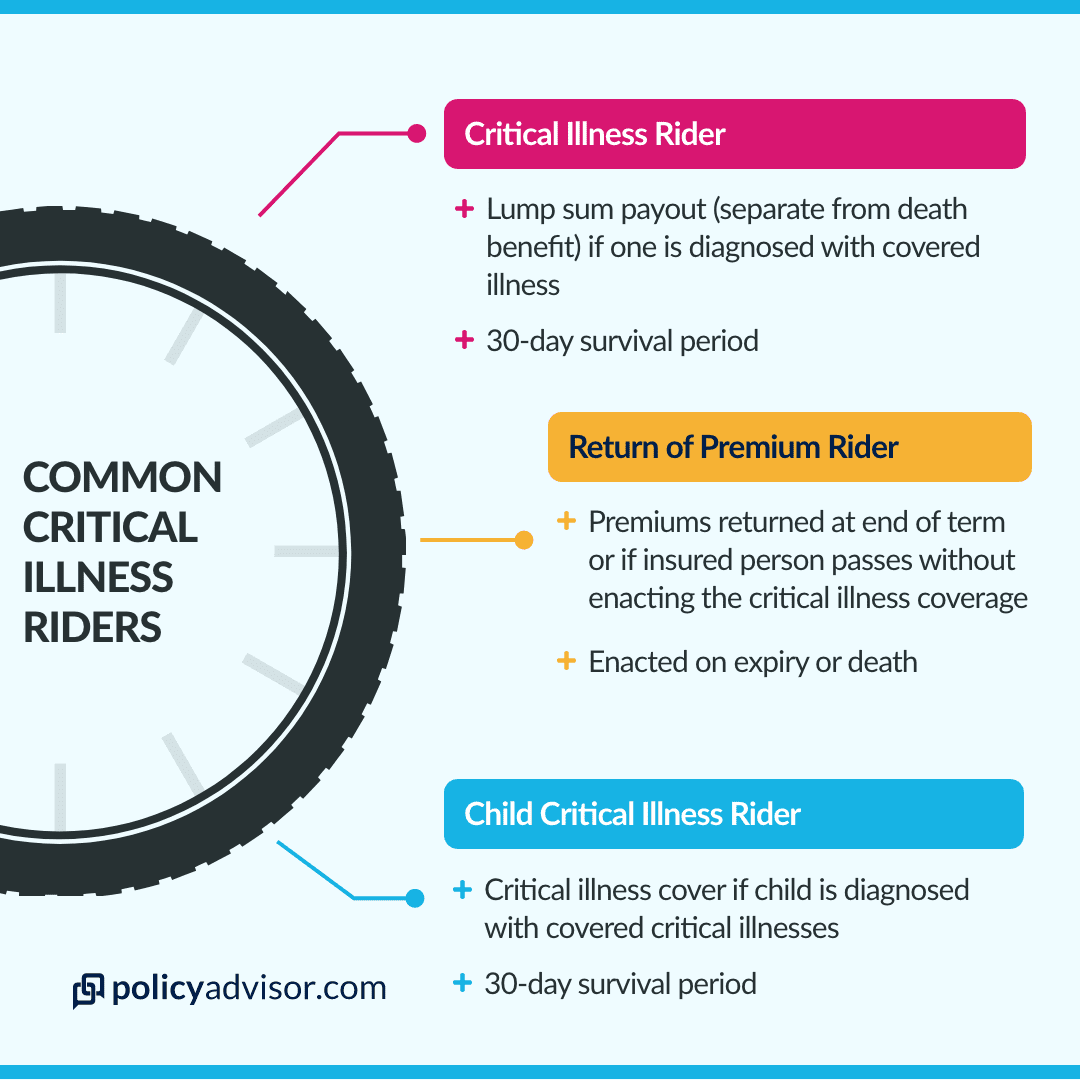 Rider&#8217;s Guide: How to Switch After an Unfortunate Incident