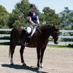 Riding training for adult riders