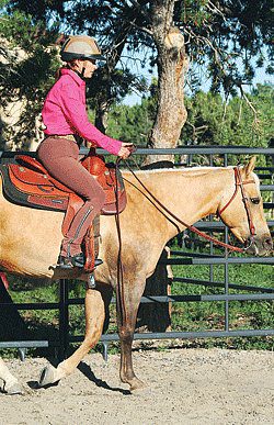 Riding training for adult riders