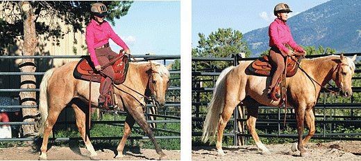 Riding training for adult riders