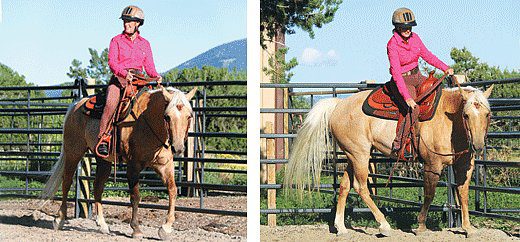 Riding training for adult riders