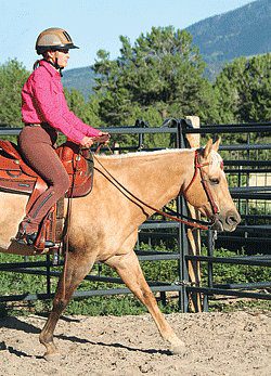 Riding training for adult riders