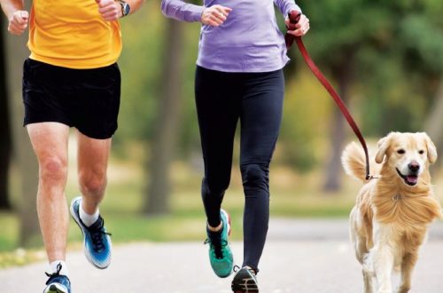 Running with a dog: losing weight together
