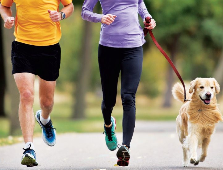 Running with a dog: losing weight together