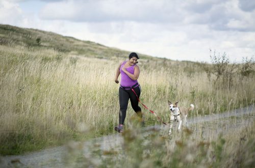 Running with a dog: where to start