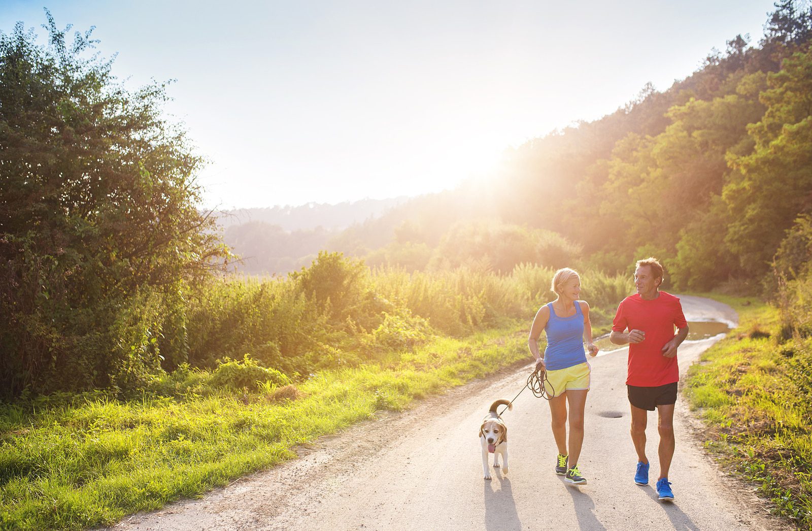 Running with your dog: 12 tips for a successful run