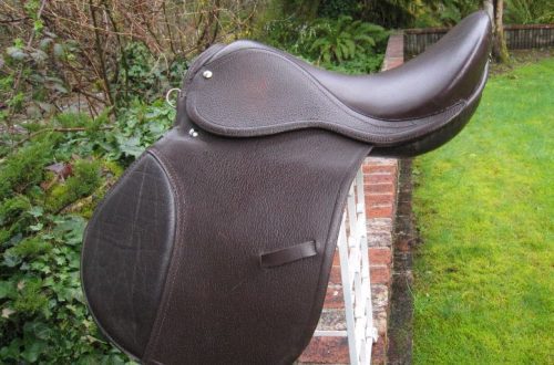 Saddles: expensive or cheap? What are we paying for?