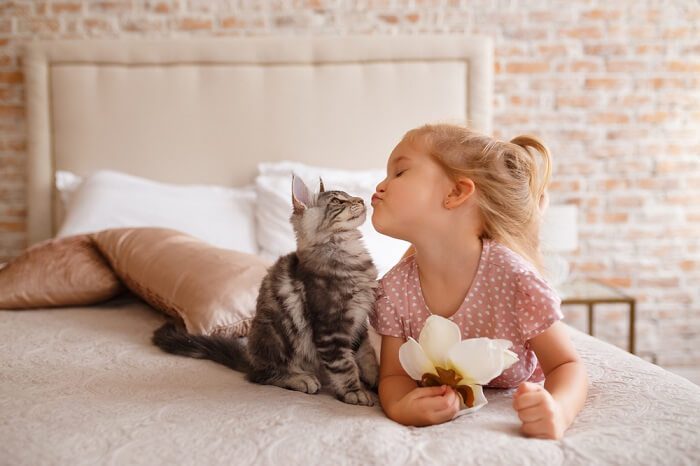 Safe play for a child with a cat